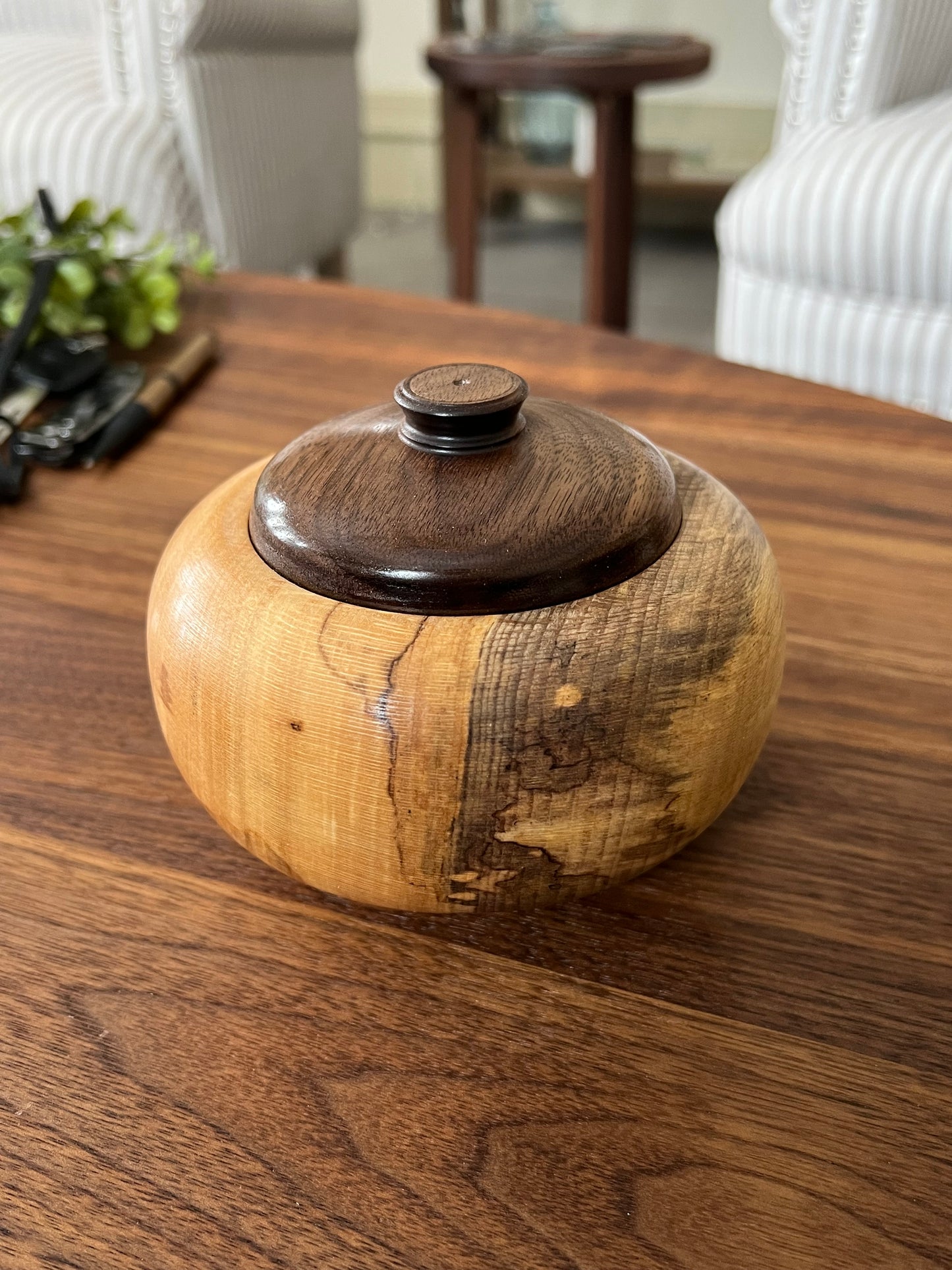 Handturned Lacewood Box With Walnut Lid