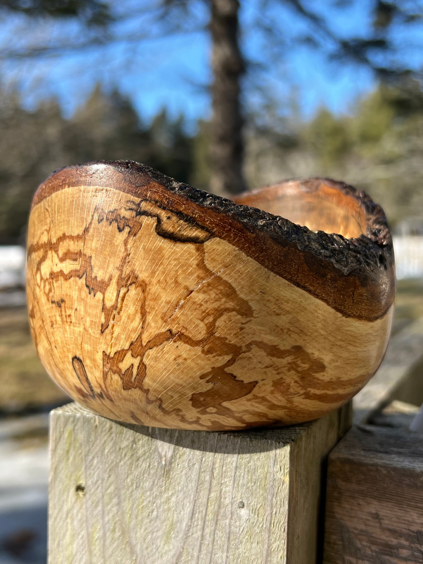 Live Edge Spalted Beech Bowl