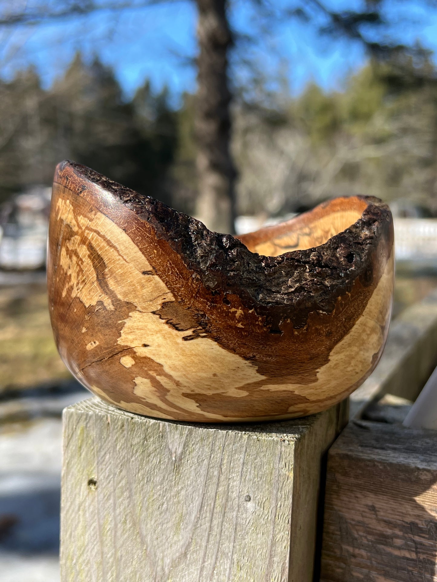 Live Edge Spalted Beech Bowl