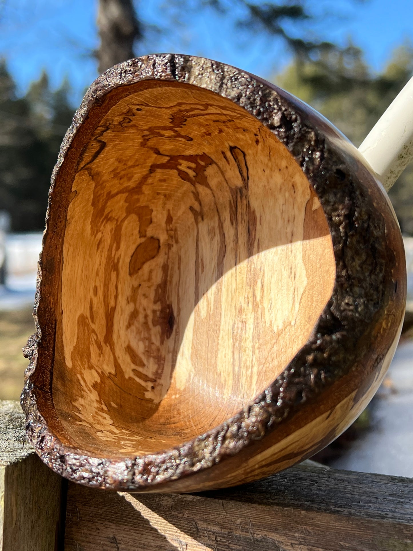 Live Edge Spalted Beech Bowl